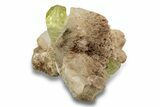 Lustrous, Yellow Apatite Crystals in Feldspar - Morocco #251146-1
